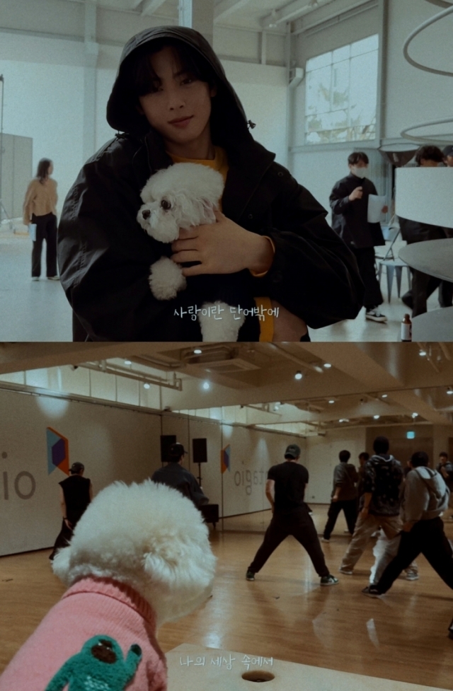 车恩宇为新歌《你是最好的》发布惊喜MV…狗的特别外观